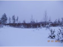 DSCN0994.JPG