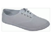     LGL 9101 white                              : ,                     : 