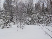 DSCN1049.jpg