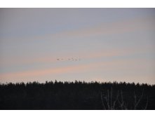 DSC_1058.JPG