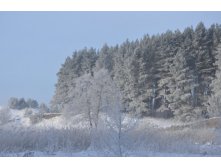 DSC_1124.JPG