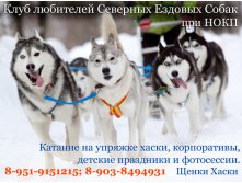 img-1572мммм.jpg