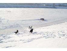 DSC_0402.JPG