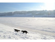 DSC_0425.JPG