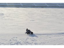 DSC_0440.JPG
