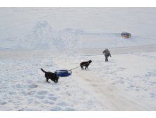 DSC_0467.JPG