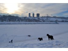 DSC_0489.JPG