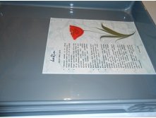 Лоток пластиковый литой 35х50 см_1313+%