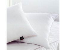 ALOE VERA NANO PILLOW, 5070,   -, 100%-, 100%, 650