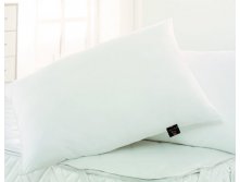 MICROFIBRE PILLOW, 5070,  , 100% , 100% , 650 