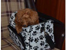 DSC_1625.JPG