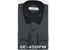  SE-450PW.jpg