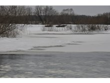 DSC_1060.JPG