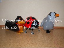 ходячка.jpg