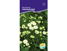 Хризантема девячья, матрикария СНЕЖНЫЙ ШАР _6.20+%.jpg