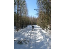 IMG_0147.JPG