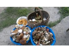 25082012828.jpg