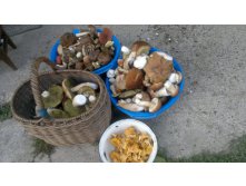 25082012829.jpg