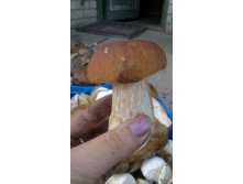 25082012831.jpg