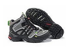 adidas_terrex_fast_x_4_- 2 950.