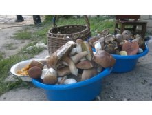 25082012832.jpg