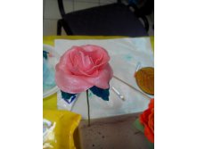 2014-02-01 14.58.58.jpg