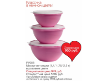 РУ008.png