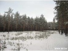 дороженька