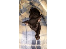 2014-03-06 18.52.20.jpg