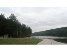 IMG_5823.JPG