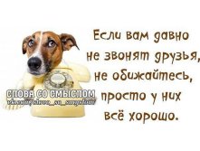foto (1).jpg