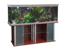 akvarium-aquatlantisevasion-200-60.jpg