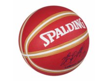 Spalding Lebron James - 415.jpg