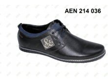 1550.  AEN-214-036