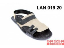 800. LAN-019-20