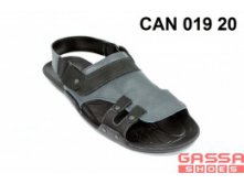 800. CAN-019-20