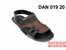 800. DAN-019-20