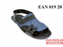 800. EAN-019-20