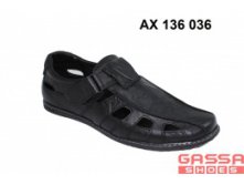 1450. AX-136-036