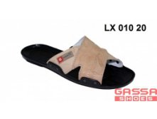 525. LX-010-20