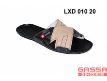 525. LXD-010-20