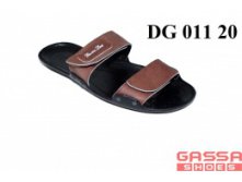 525. DG-011-20