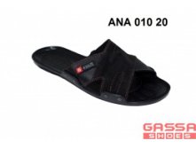 525. ANA-010-20