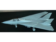 Trumpeter F-14A 3.jpg