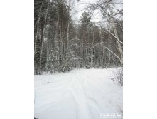 дорога