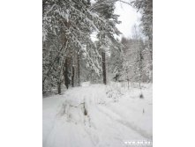 дорога
