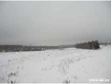 поле