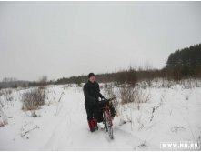 винни