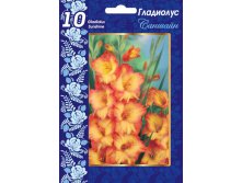 Гладиолус Саншайн   102р