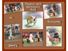 Беларуссия.jpg